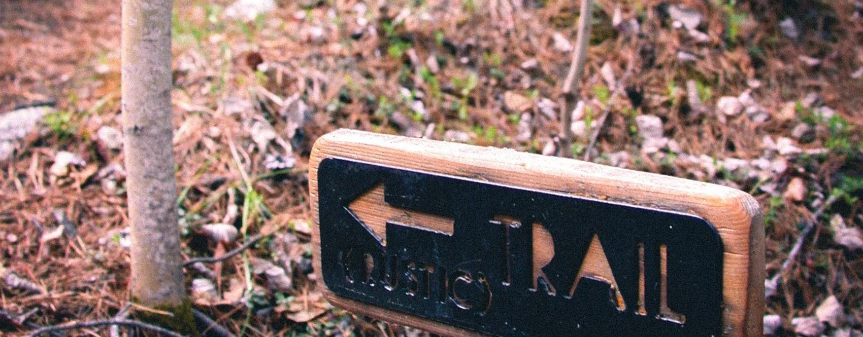 Wooden Trail Sign in the Forest