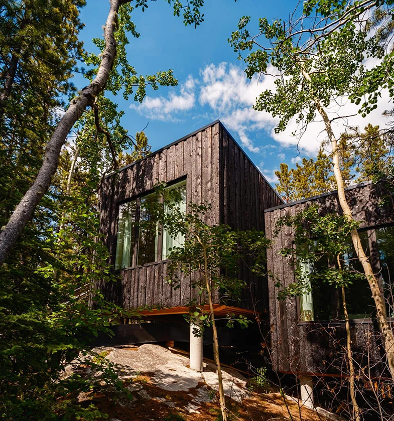 Forest Cabin Beneath Blue Skies