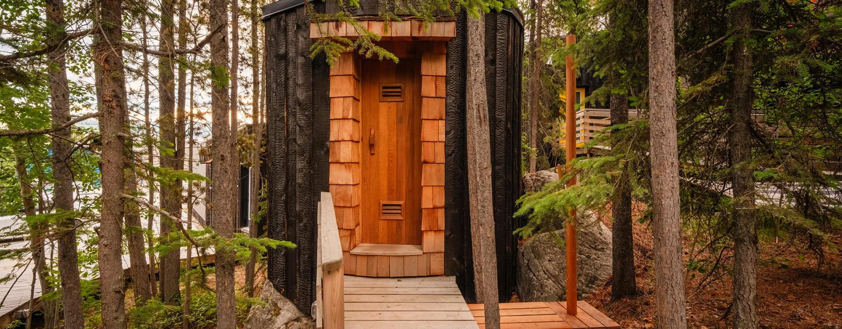 Forest Boardwalk Leading to the Sauna